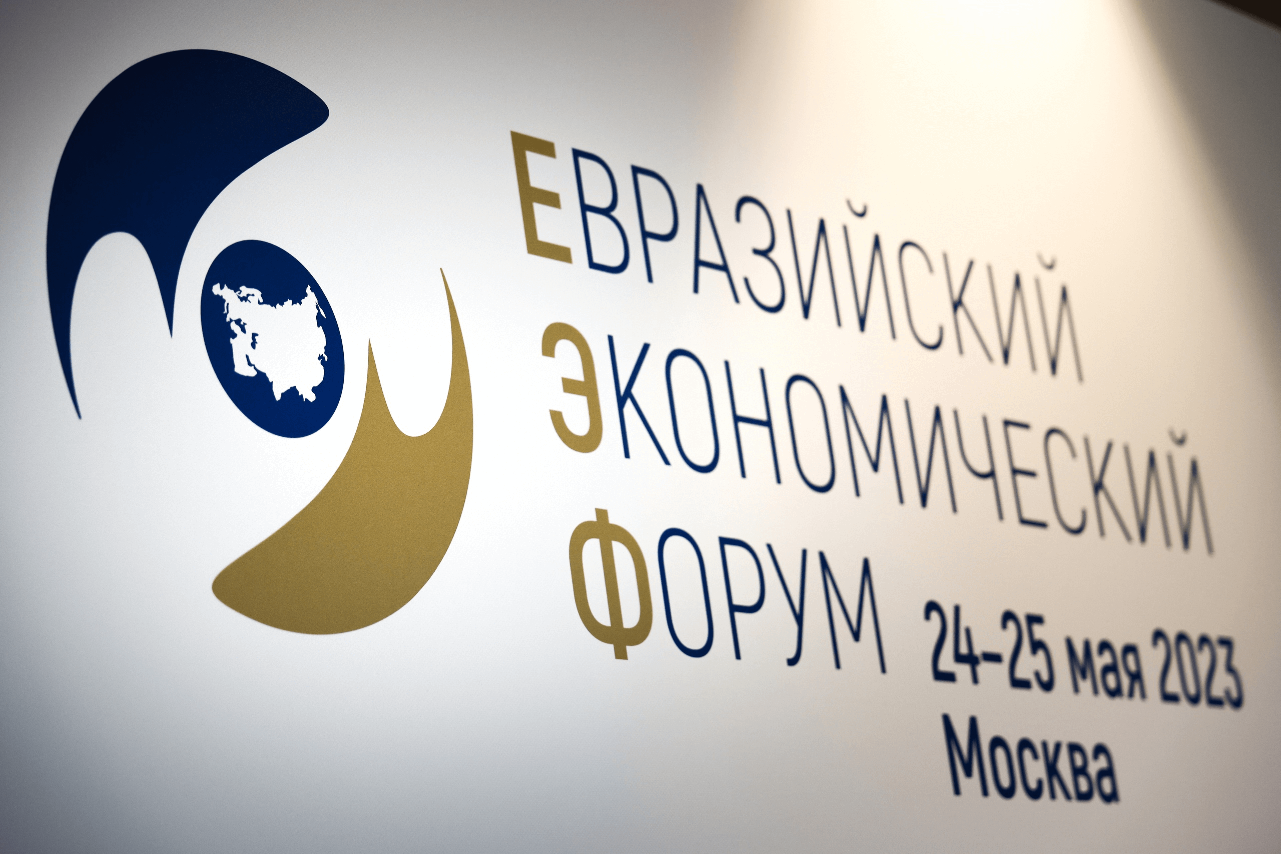 Евразийский экономический форум. Высший Евразийский экономический совет логотип. Евразийский экономический форум лого. Евразийский экономический форум 2023. Евразийская перестраховочная компания.